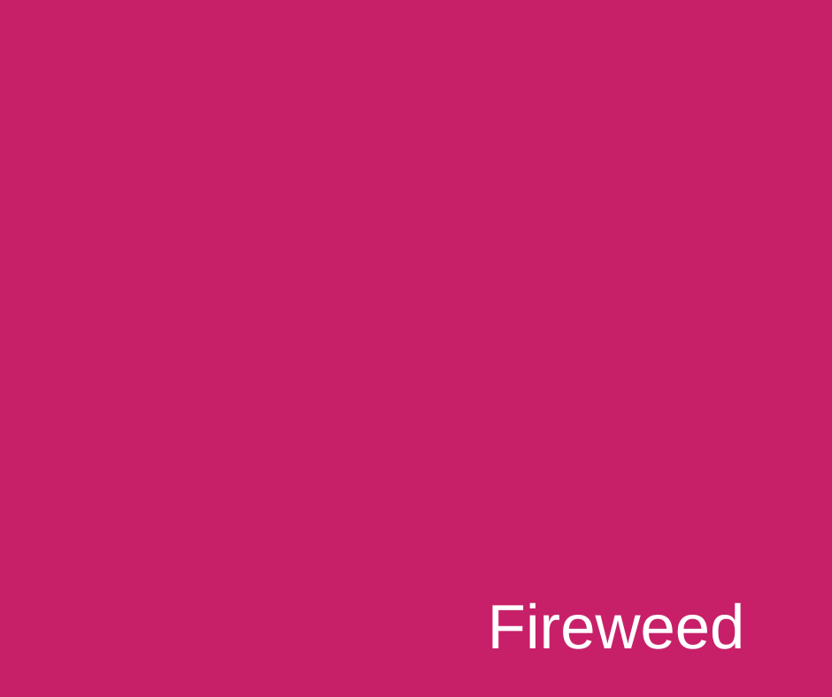 Fireweed Fushia